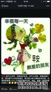 女子網(wǎng)購加菲貓收到死貓賣(mài)家：找警察也沒(méi)用
