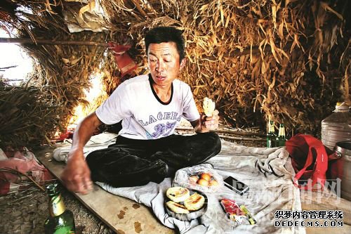 方立平在山上用玉米秸稈搭了一個(gè)窩棚，中午可以在里面吃飯、休息。