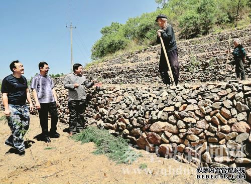 工作組來(lái)到村民的地里查看山楂樹(shù)長(cháng)勢。 本報記者 馬衛慶 攝