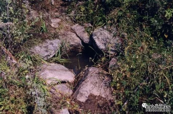 板廠(chǎng)峪捕蛇少年遭雷擊身亡是巧合還是報應